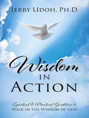 cover image of Wisdom in Action